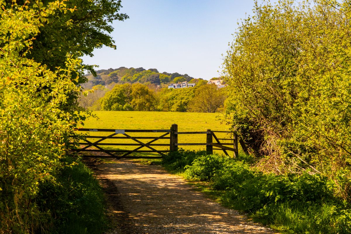 Wooden gate on a countryside path opening onto green fields