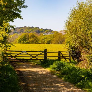 Wooden gate on a countryside path opening onto green fields