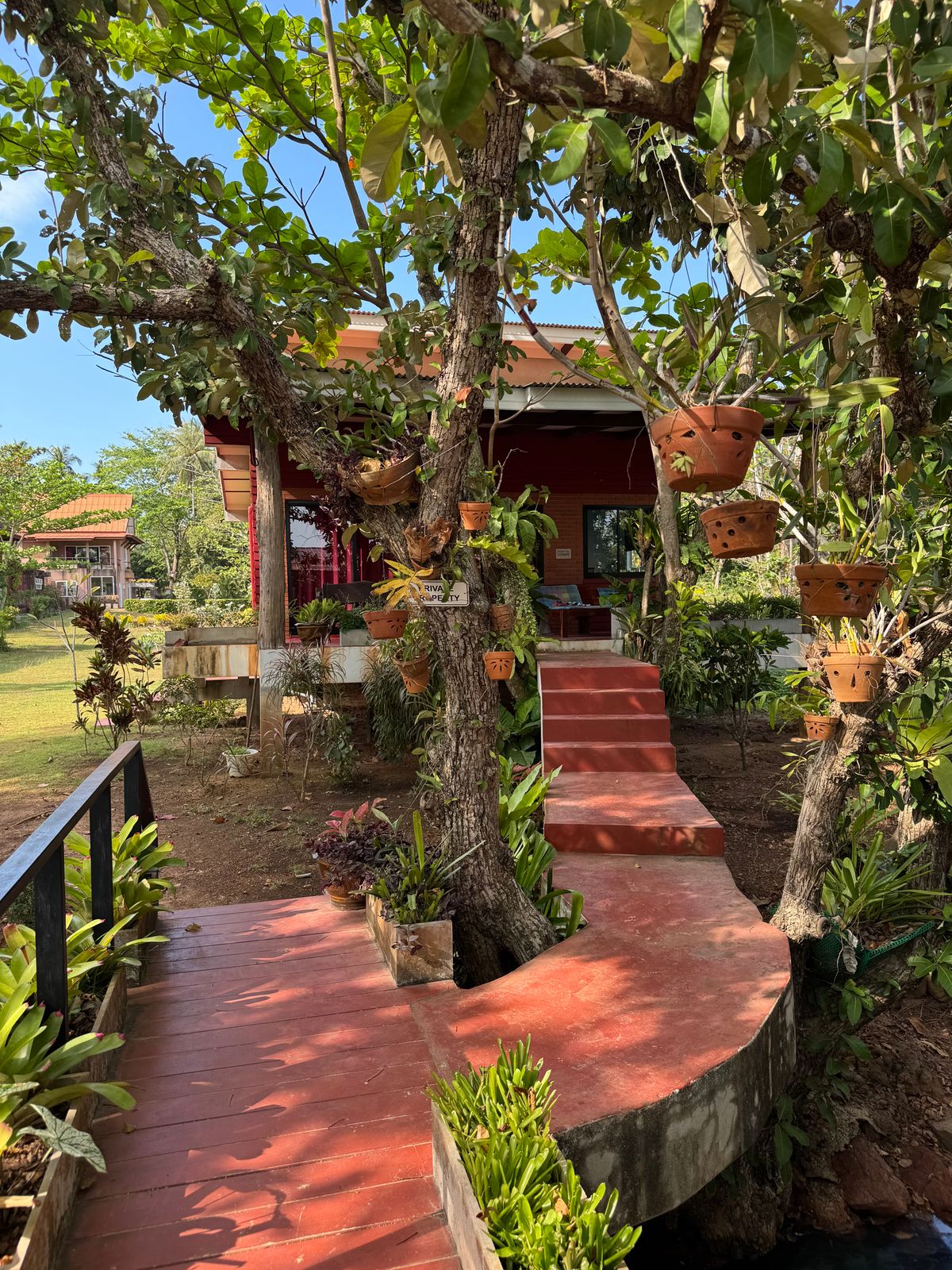 Garden pathway with potted plants leading to a cozy home